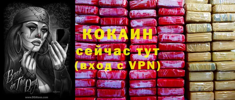 купить закладку  блэк спрут как зайти  COCAIN VHQ  Отрадное 